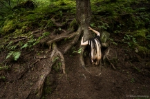 Searching the roots - with _Valentina_